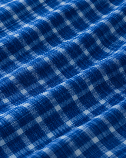 Blue Gingham Checks Mul Cotton Saree